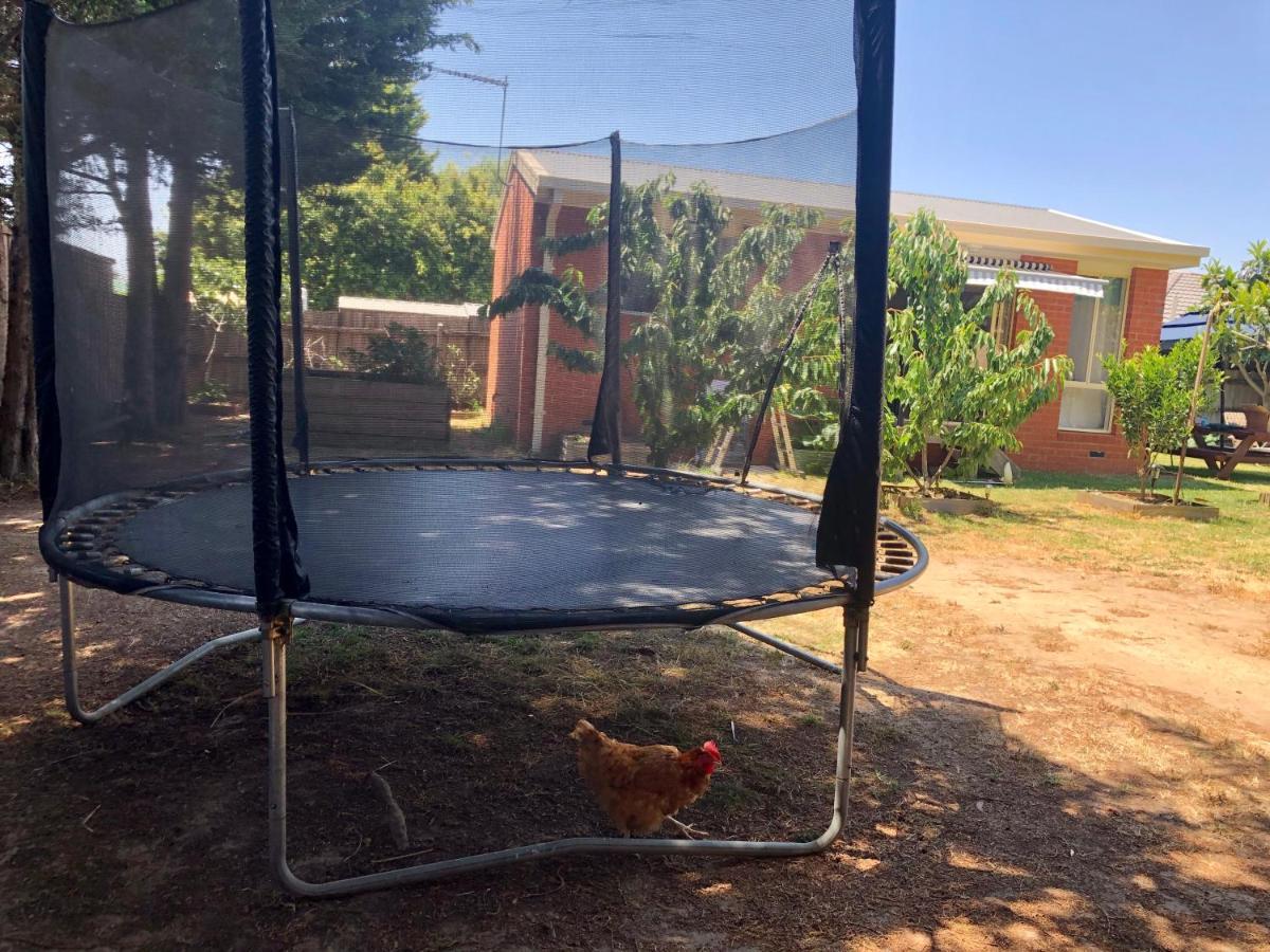 Charlie Sweet Home At Mornington Peninsula Mount Martha Esterno foto