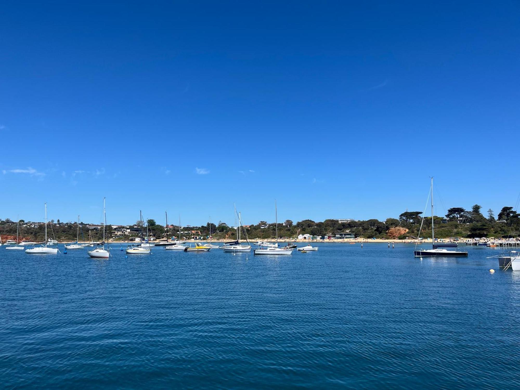 Charlie Sweet Home At Mornington Peninsula Mount Martha Esterno foto